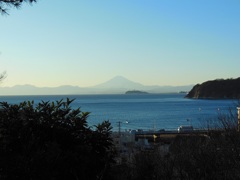週末の富士山～逗子蘆花記念館