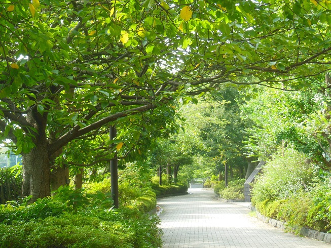 ♪御殿山遊歩道