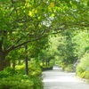 ♪御殿山遊歩道