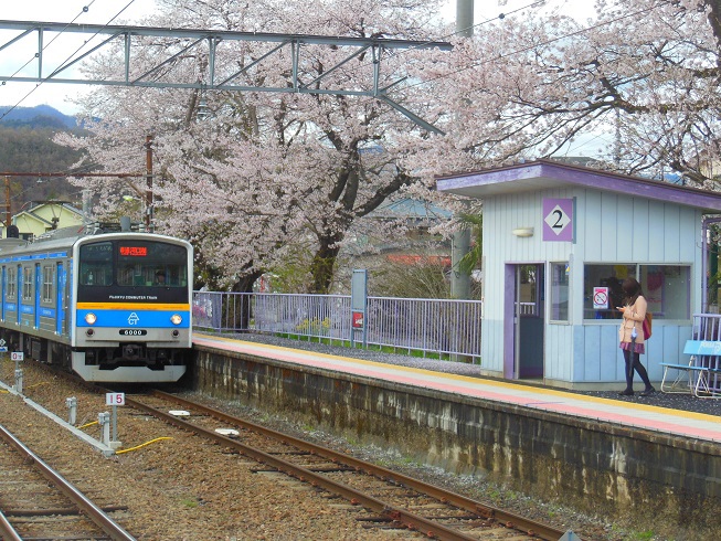 桜満開の駅