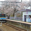 桜満開の駅