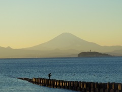 渚橋からの富士山♪