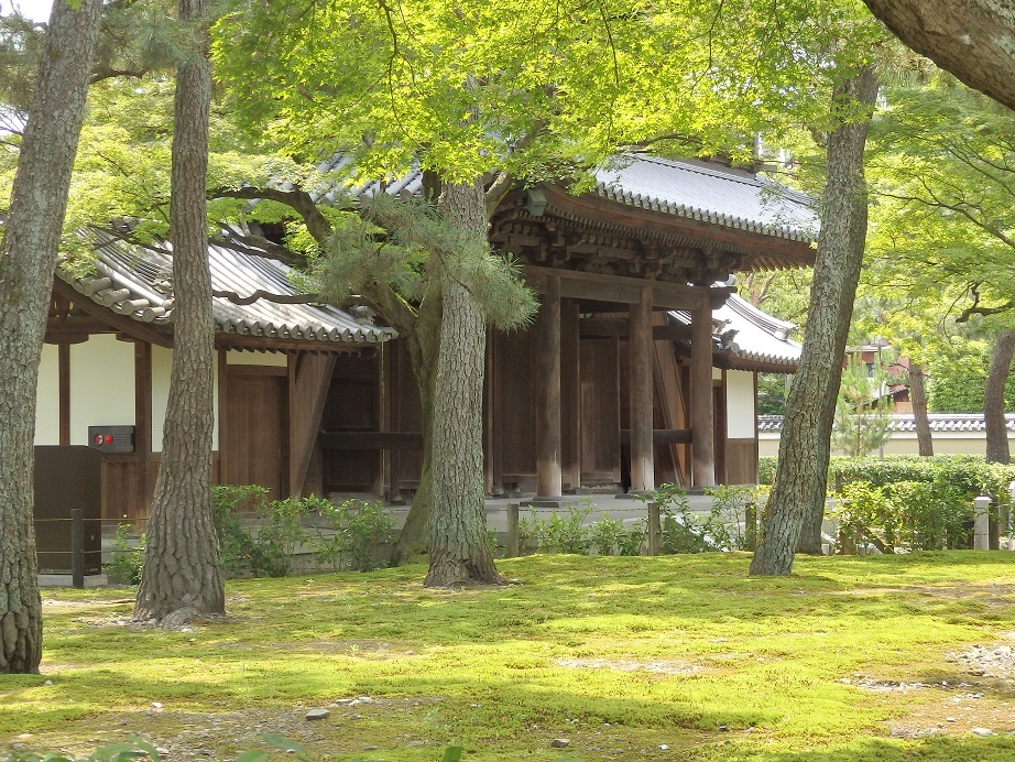 ♪緑の境内～建仁寺