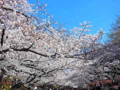♪上野公園♪