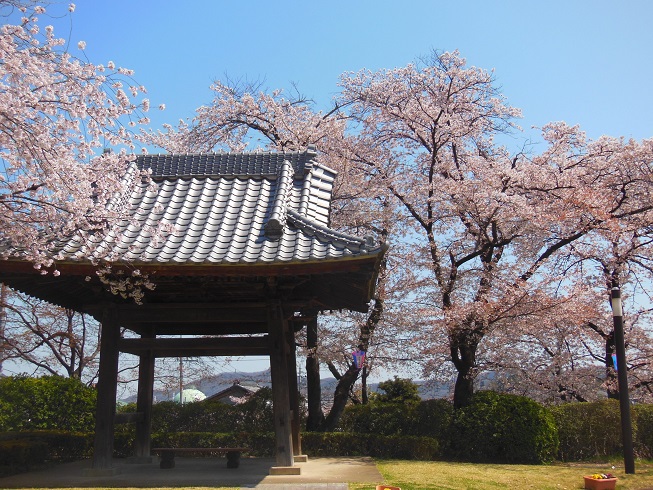 ♪佐野城址公園