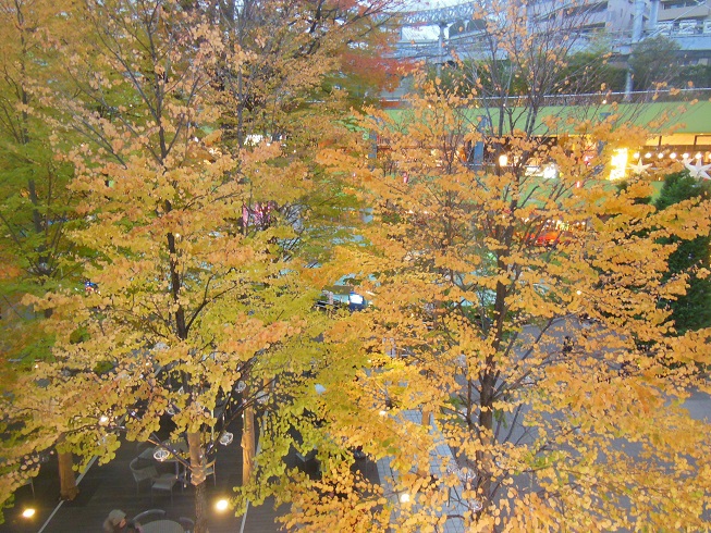 東京ドームシティー☆