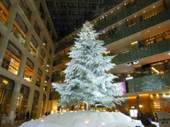 ♪イルミ33rd　KITTE♪ 2014-12-05 FRI