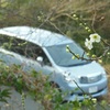 ♪梅と愛車