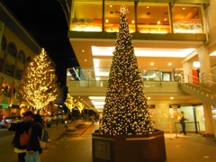 ♪イルミ35th　横浜元町♪ 2014-12-10 WED