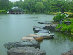 ♪雨の清澄庭園♪