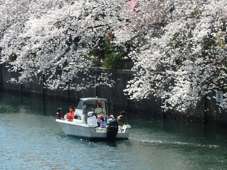 ♪大岡川