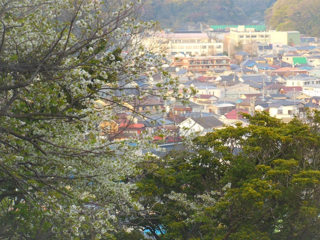 ♪逗子市♪