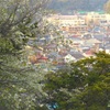 ♪逗子市♪