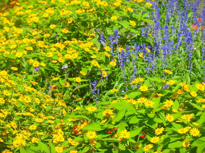 ♪花壇～芝公園