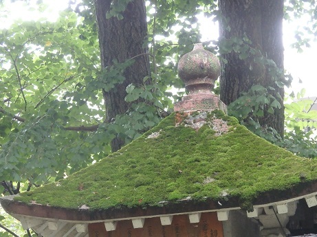 ♪富山城址公園