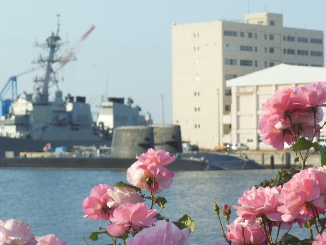 薔薇の向こうは潜水艦♪