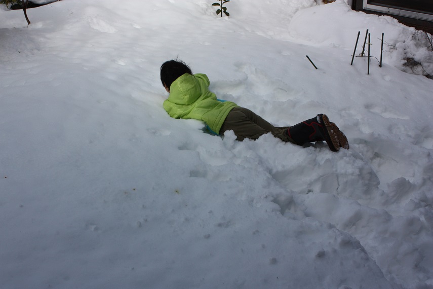 ☆雪に埋もれる庭☆