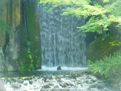 ♪徳川庭園の滝
