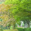 駒沢公園、、まだ夏の色彩も残っています(^-^)