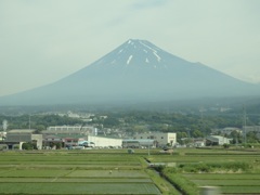 ♪初夏の富士山