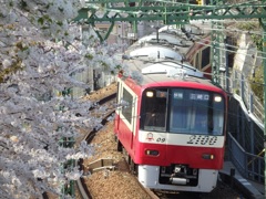 ♪桜と京急