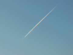 ♪飛行機雲♪