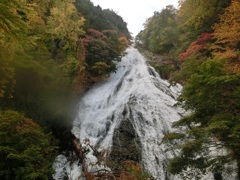 ♪娘の作品^^　日光修学旅行～紅葉の湯の滝♪