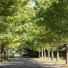 葉山南郷上ノ山公園♪