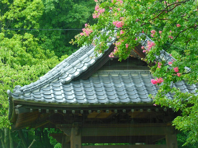 ♪佐野城址公園