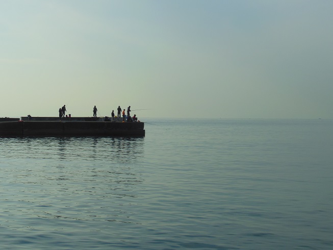 ♪fishing～秋谷漁港♪