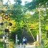 ♪円覚寺