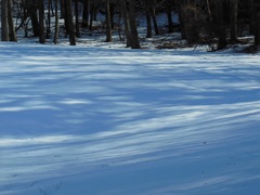 雪原～忍野村