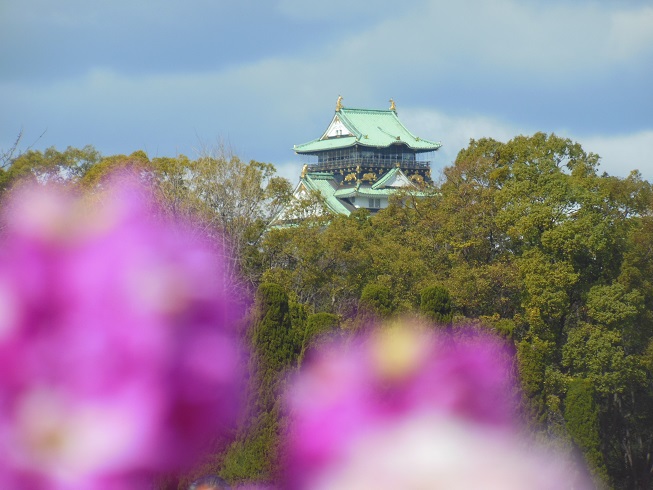 大阪城公園♪