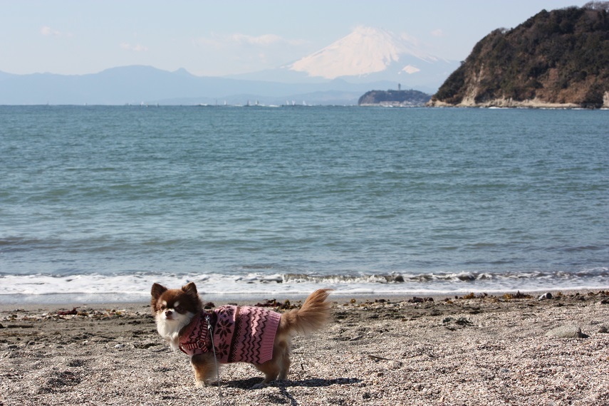 ♪富士山と(^-^)