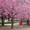 ♪岸根公園