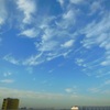 職場の屋上からの秋空♪