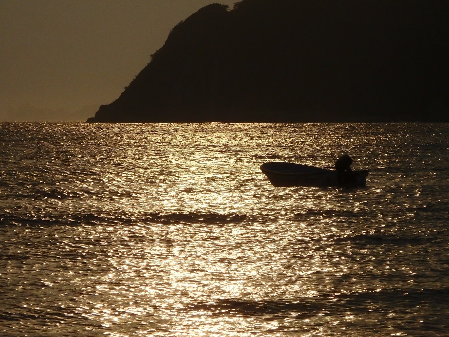 ♪黄金の海～逗子海岸＾＾