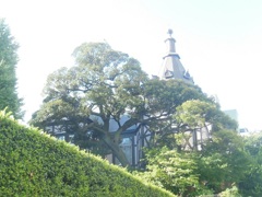 ♪明治学院大学♪