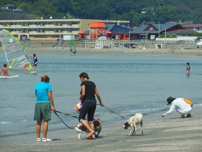 ♪海岸散歩＾＾