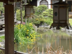 ♪鎌倉～光明寺