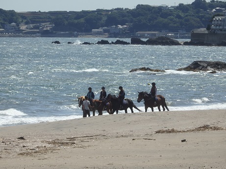 ♪三浦海岸