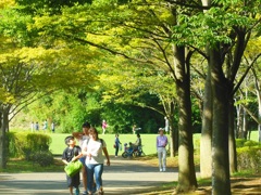 ♪葉山　南郷公園