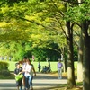 ♪葉山　南郷公園