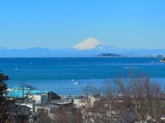 ♪逗子からの富士山