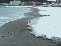 波と雪～逗子海岸