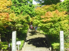 北鎌倉　円覚寺♪