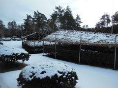出張先の雪景色♪