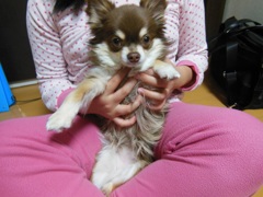 皆さん 初めまして! そして "Good see you again!" 皆さん 初めまして! そして "Good see you again!"