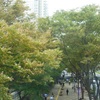 西新宿