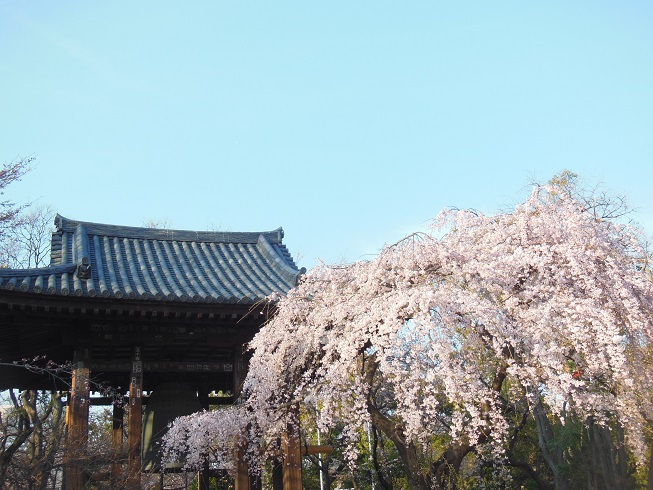 ★芝増上寺★